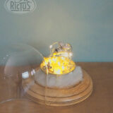Cloche de verre décorative – Image 2