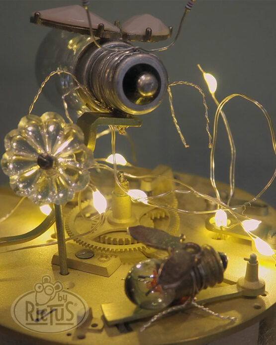Cloche de verre décorative – Image 4