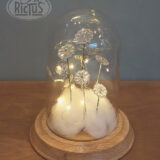 Cloche de verre décorative