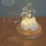 Cloche de verre décorative – Image 2