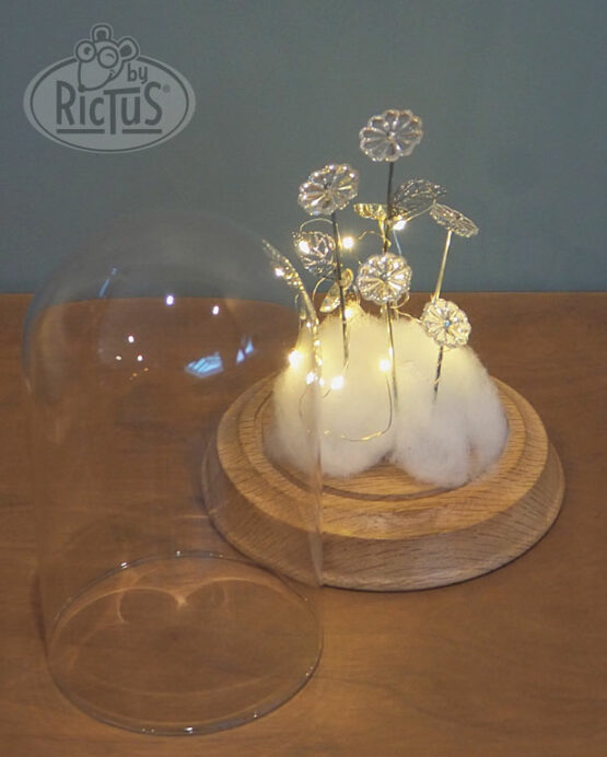 Cloche de verre décorative – Image 2