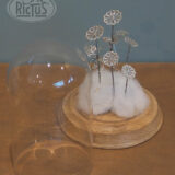 Cloche de verre décorative – Image 3