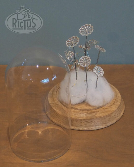 Cloche de verre décorative – Image 3