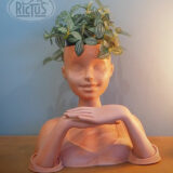 Cache-pot tête à coiffer