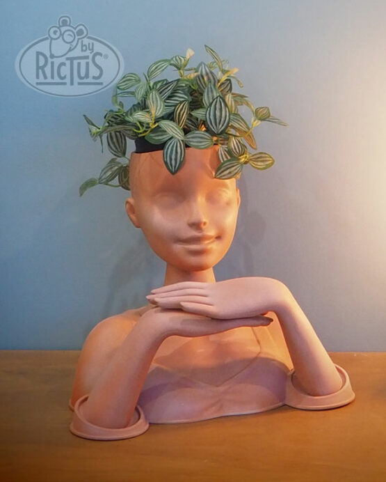 Cache-pot tête – Image 3