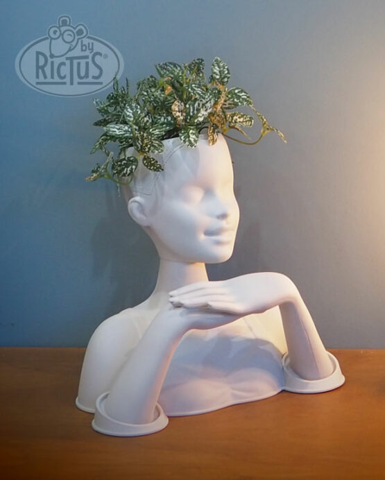 Cache-pot tête design – Image 2