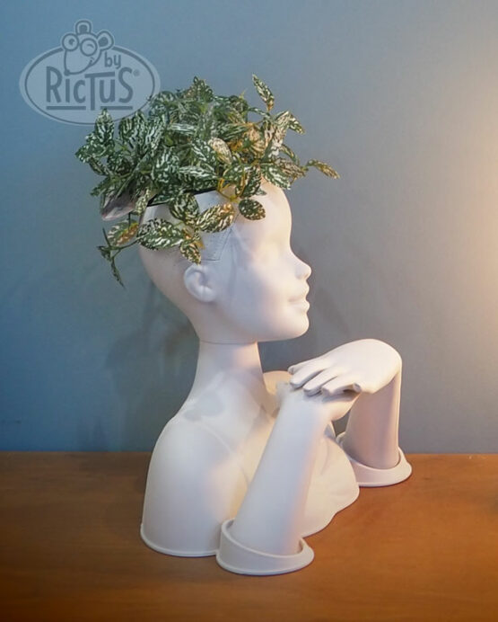 Cache-pot tête design – Image 3