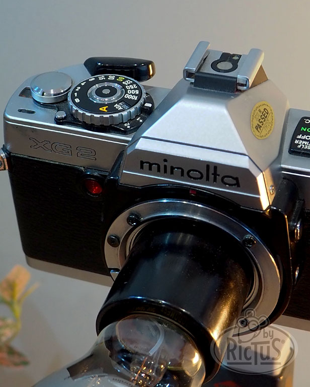 Appareil photo Minolta transformé en lampe à poser